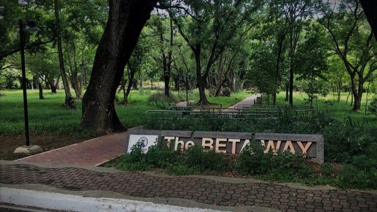 The Beta Epsilon Way